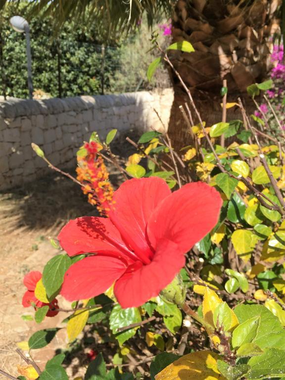 Hibiscus Rosso Vila Donnalucata  Exterior foto